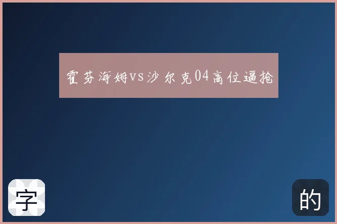 霍芬海姆vs沙尔克04高位逼抢