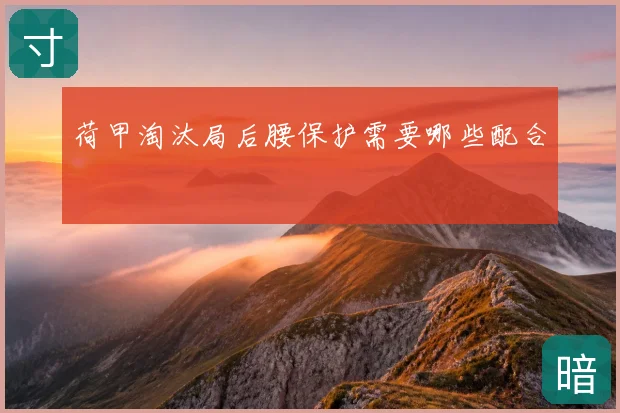 荷甲淘汰局后腰保护需要哪些配合